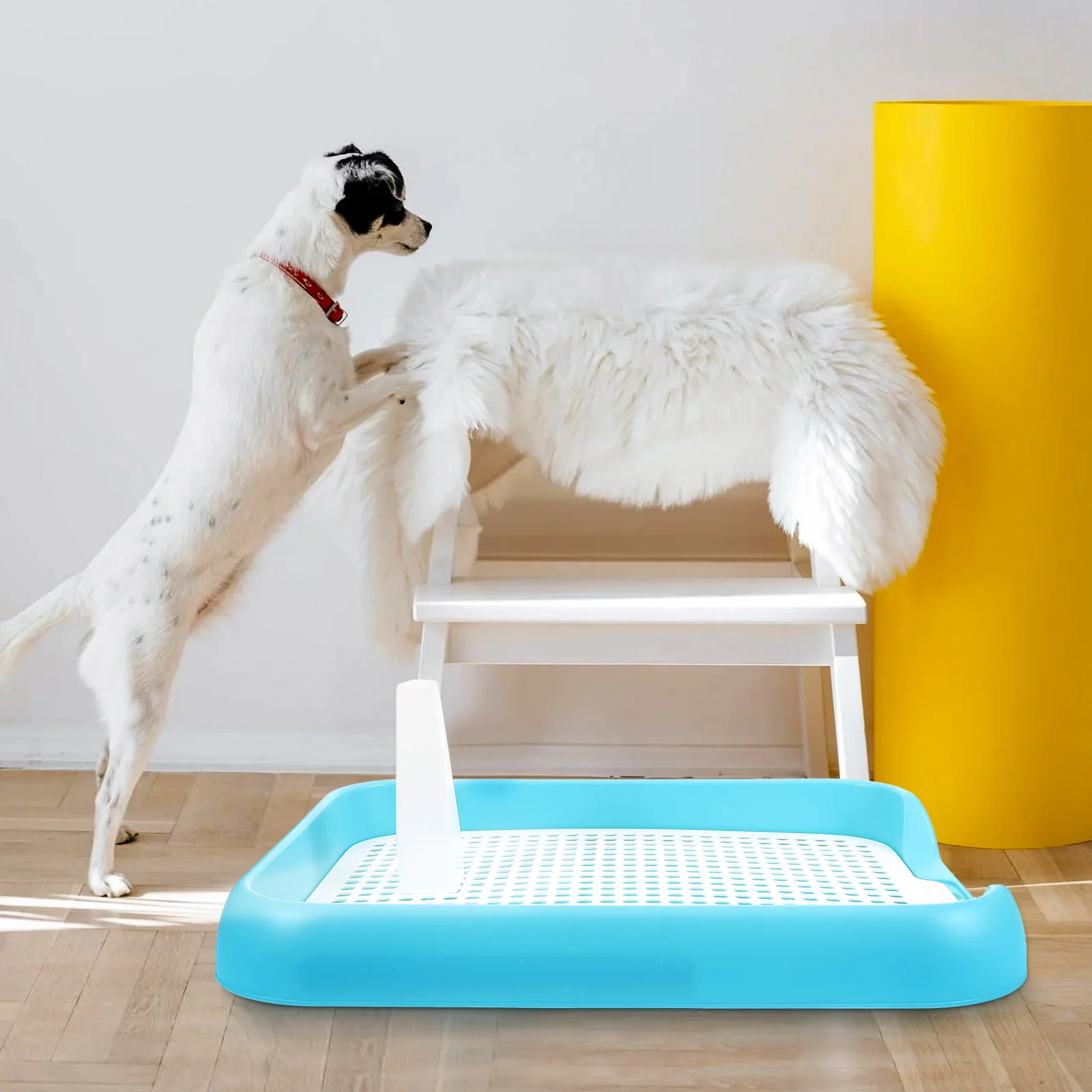 

Plastic Puppy Potty Anti slip Dog Toilet Indoor Pet Bedpan Mesh Urine Tray Leak proof Portable Pet Supplies Clean