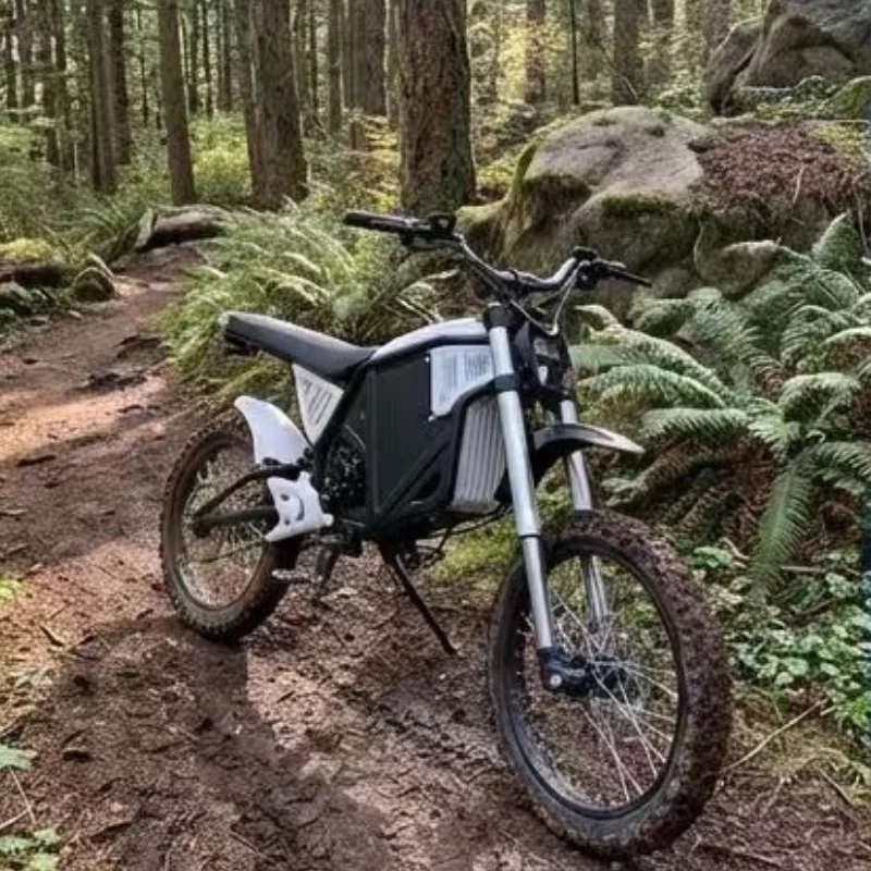 

New 1000W High Speed Electric Motorcycle Off-Road Electric Motorcycle Adult Electric Dirt Bike