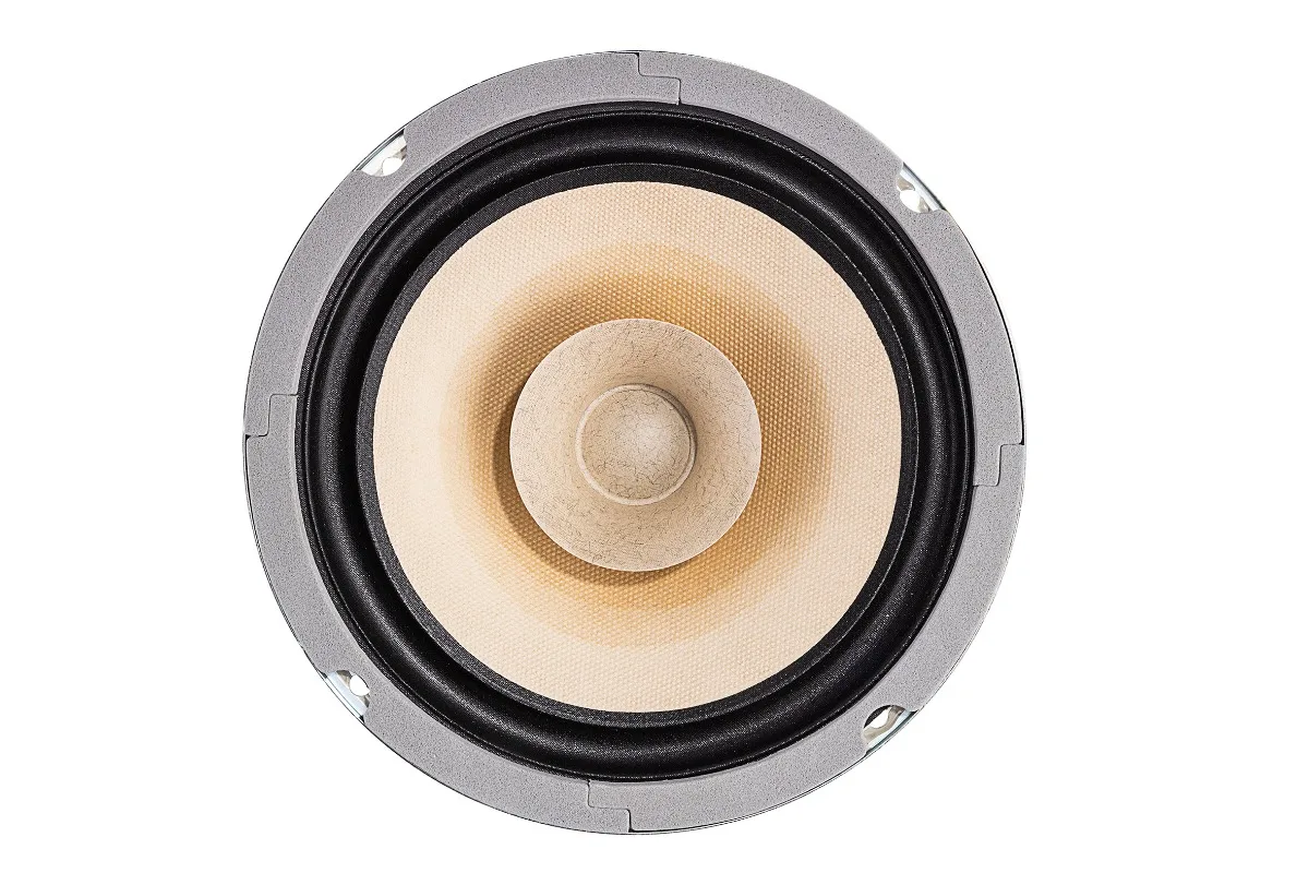 B-004 Lii Song F6 6.5 Inch Full Range Speaker Driver 15-30W 8 Ohm（1 Pair）