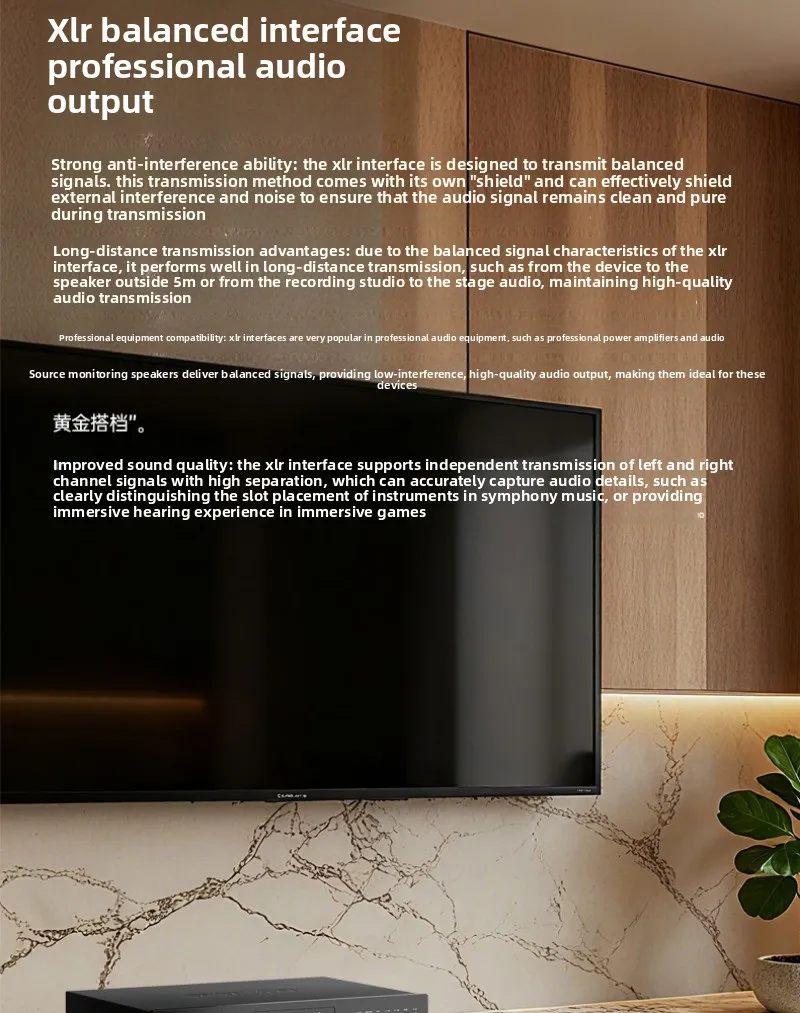 Lecteur de disque Bluetooth Audiophile, lecteur CD numérique, lecteur d'album