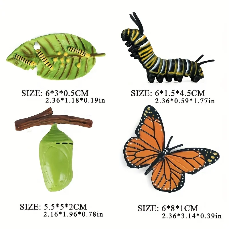 Butterfly Life Cycle Kit para Crianças e Estudantes, Lifestyle, Stages of Monarch, Ferramentas de Ensino, 4 peças