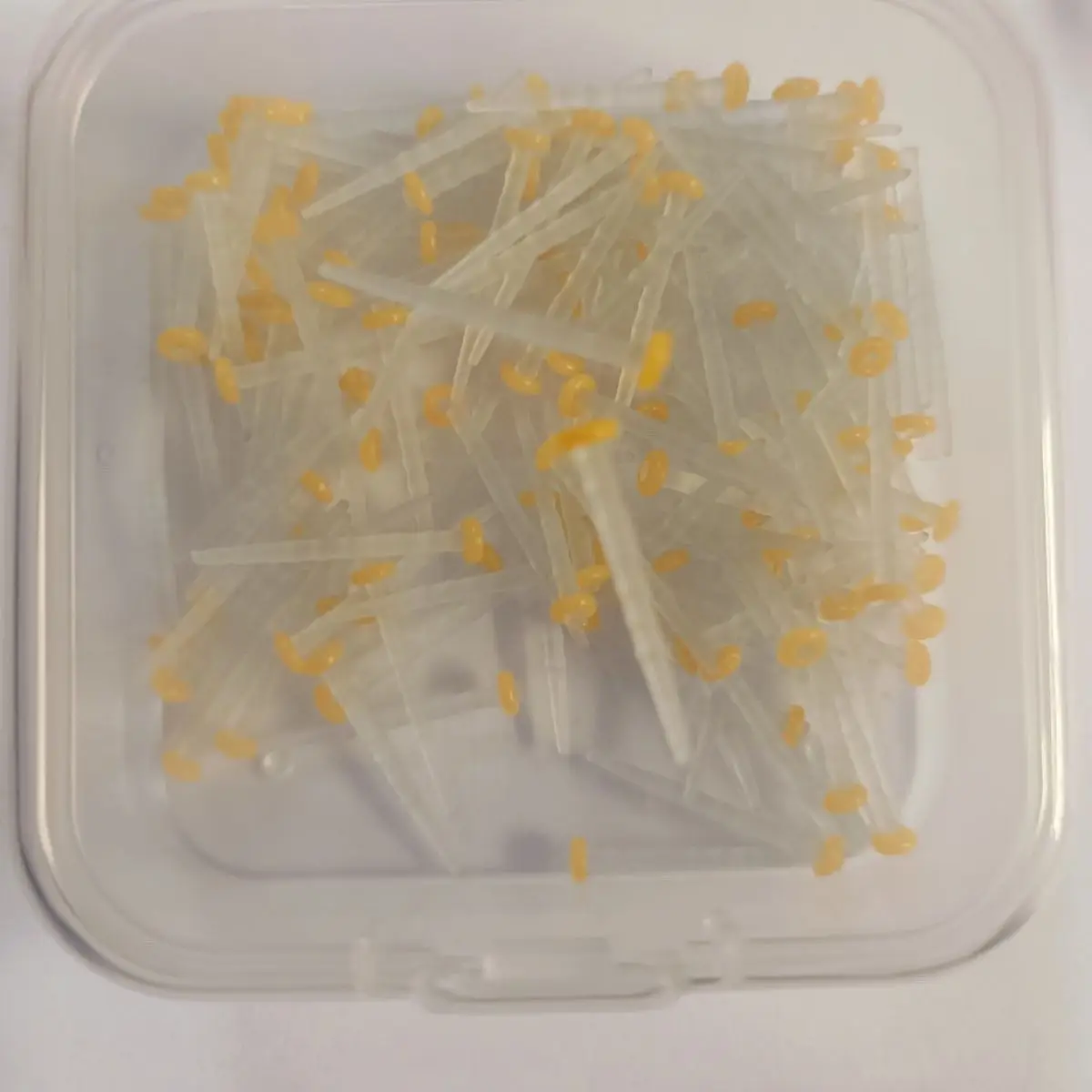 100pcs/box Dental Fiber Posts Straight Screw Quartz Glass Fiber Resin Post Root Canal Pile Restorative Orthodontic Filling