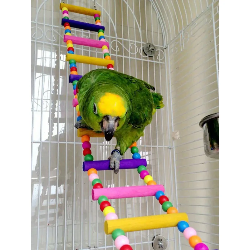 

Colorful Wooden Bird Ladder & Swing - Perfect Habitat For Small Parrots