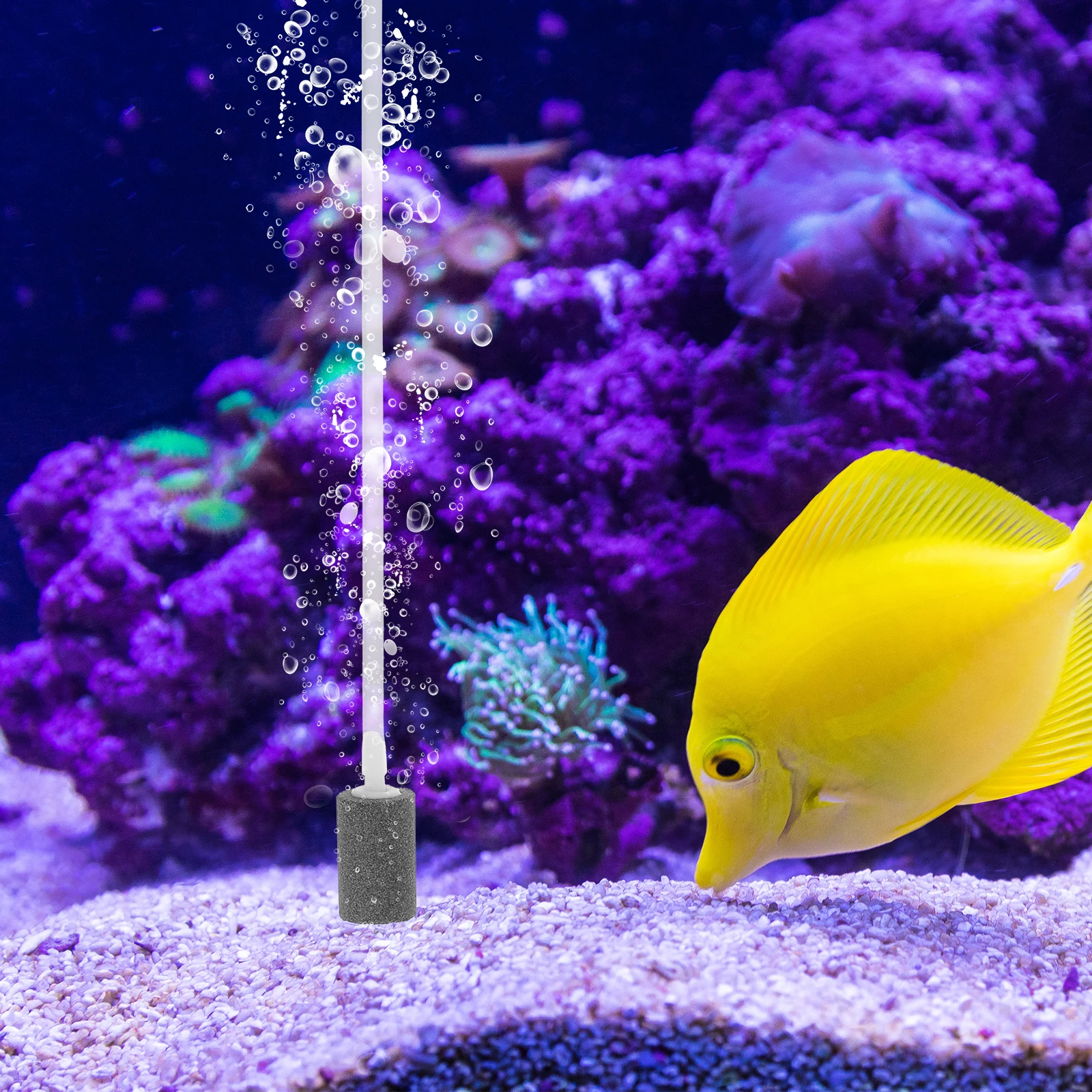 

Aquarium Air Pump Oxygen Aerator Stones Mute Black Low Noise USB Power Small Medium Fish Tanks Economic Saving Continuous