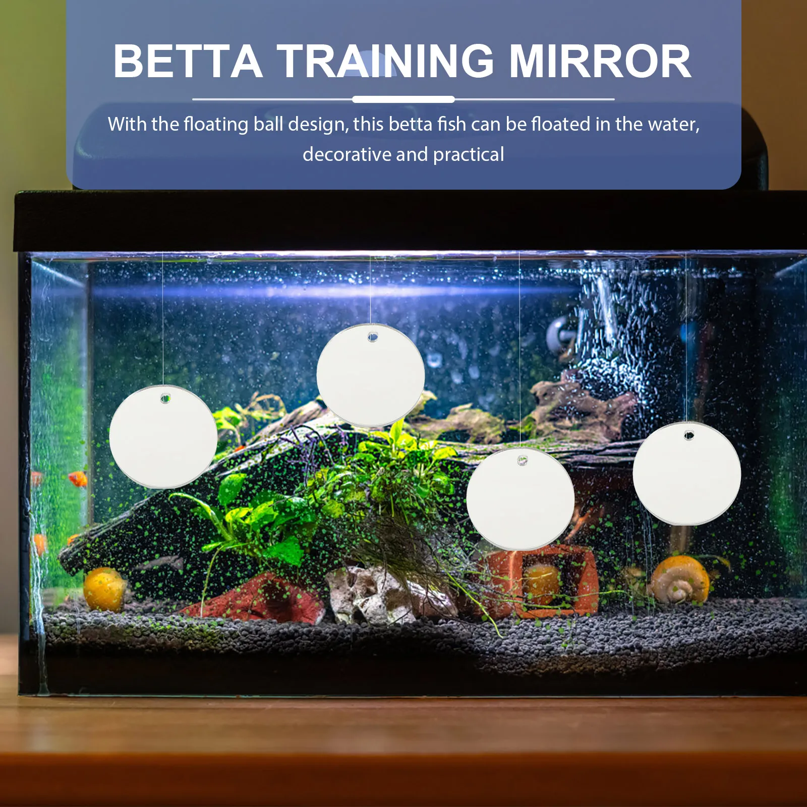 

4 Pcs Fish Tank Mirror Betta for Aquarium Decor Decorative Decorations Accessories