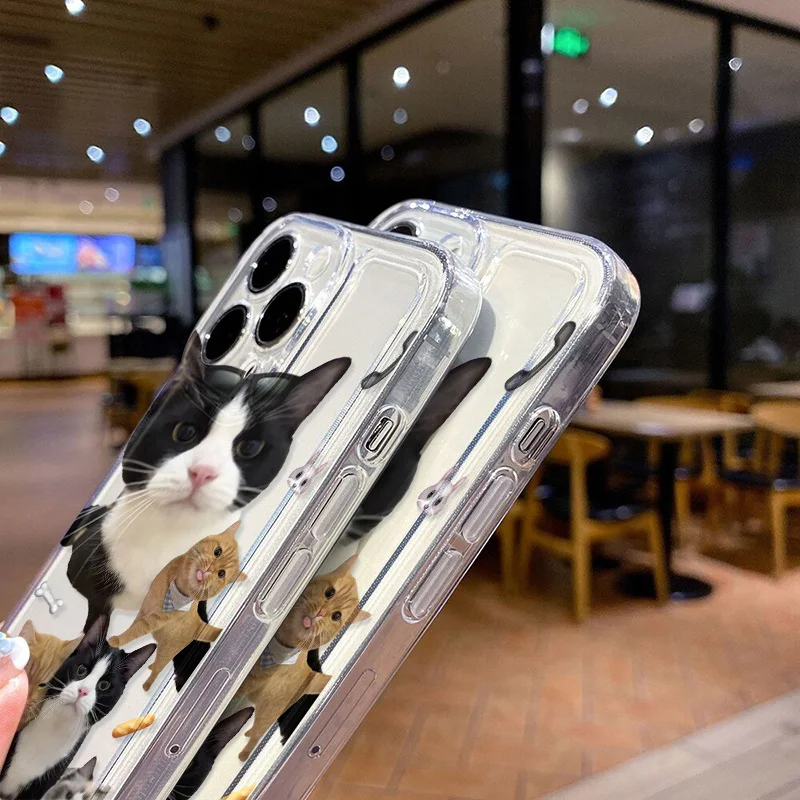 Cute Cat Clear Case For iPhone 14 Case iPhone 11 12 13 14 15 Pro Max X XR XS Max 7 8 Plus SE 2022 2020 Funda Soft Silicone Cover