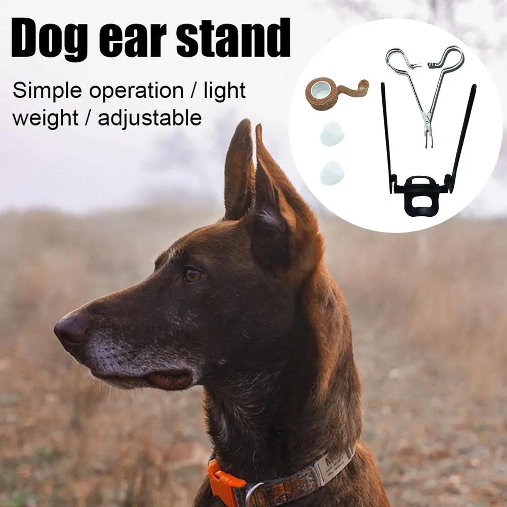 Dog Supplies Puppy Ear Care Tools Ear Stand Up Sticker Dog Ear Stand Fixed Support Tool For Doberman Assist Erected Ear Too J1F5