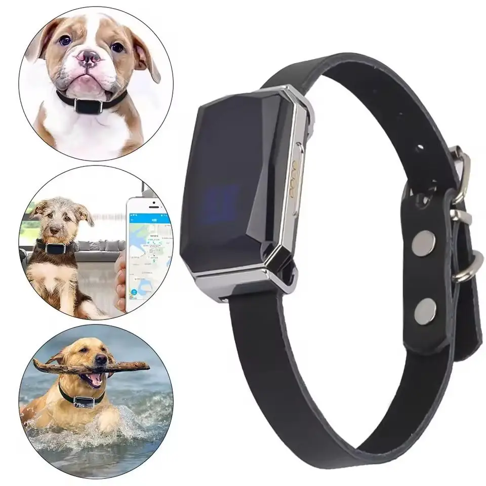 Per G12 Pet Collare Localizzatore Per Gatti e Cani Cuccioli Anti Perso Localizzatore Globale A Distanza 500mA Smart Impermeabile Localizzazione GPS Collare R2U9