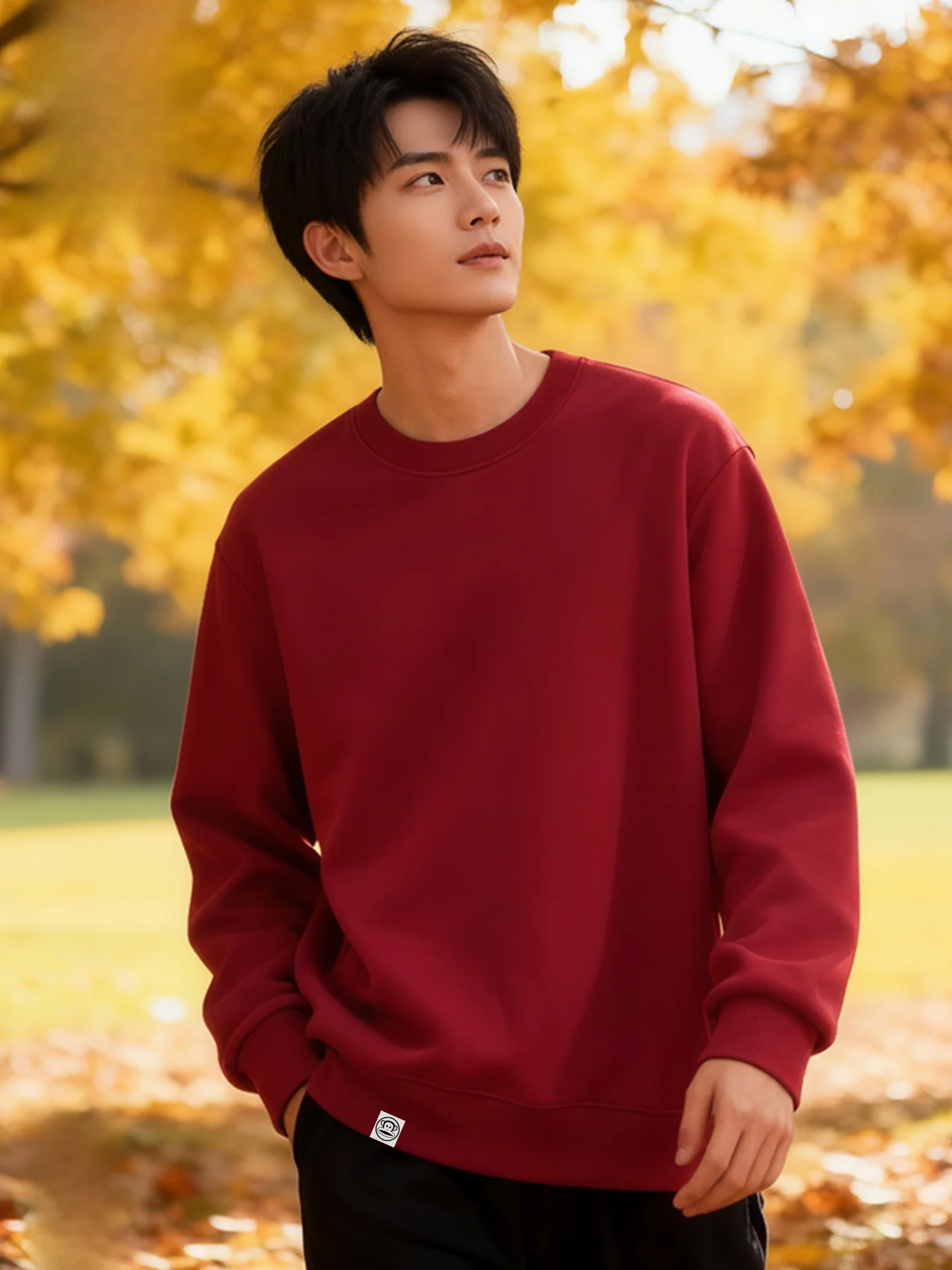 

Monkey Hoodie Men's Autumn Winter Lightweight Long Sve round Ne Print Casual Faion Streetwear Cotton Polyester