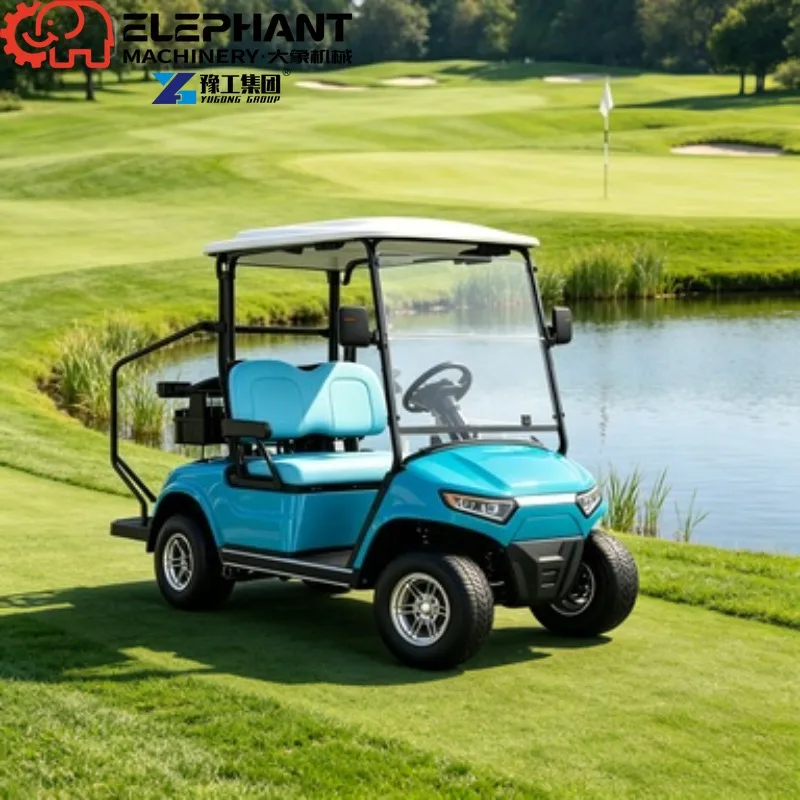 Electric Golf Cart, 2 Seater Off Road Electric Buggy Multifunctional For Tourist Attraction