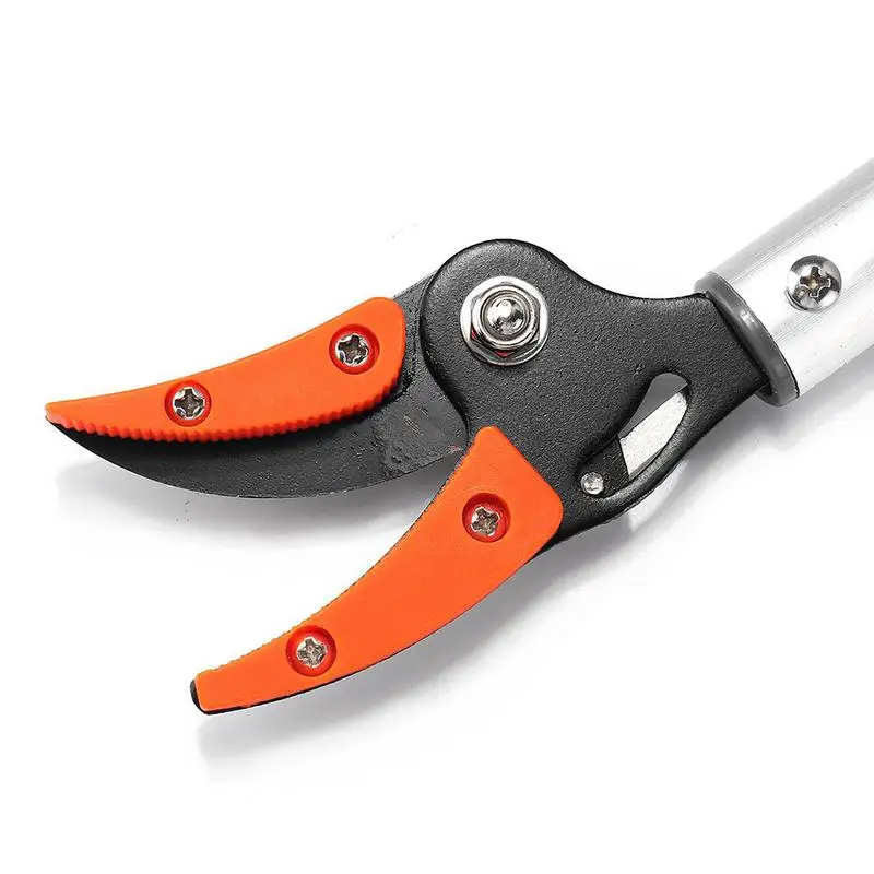 Imagem -02 - Tree Trimmer Pole Short Reach Branch Cutter Cortar e Segurar Tesouras de Poda para Jardim Fruit Picking Ramos Aparar
