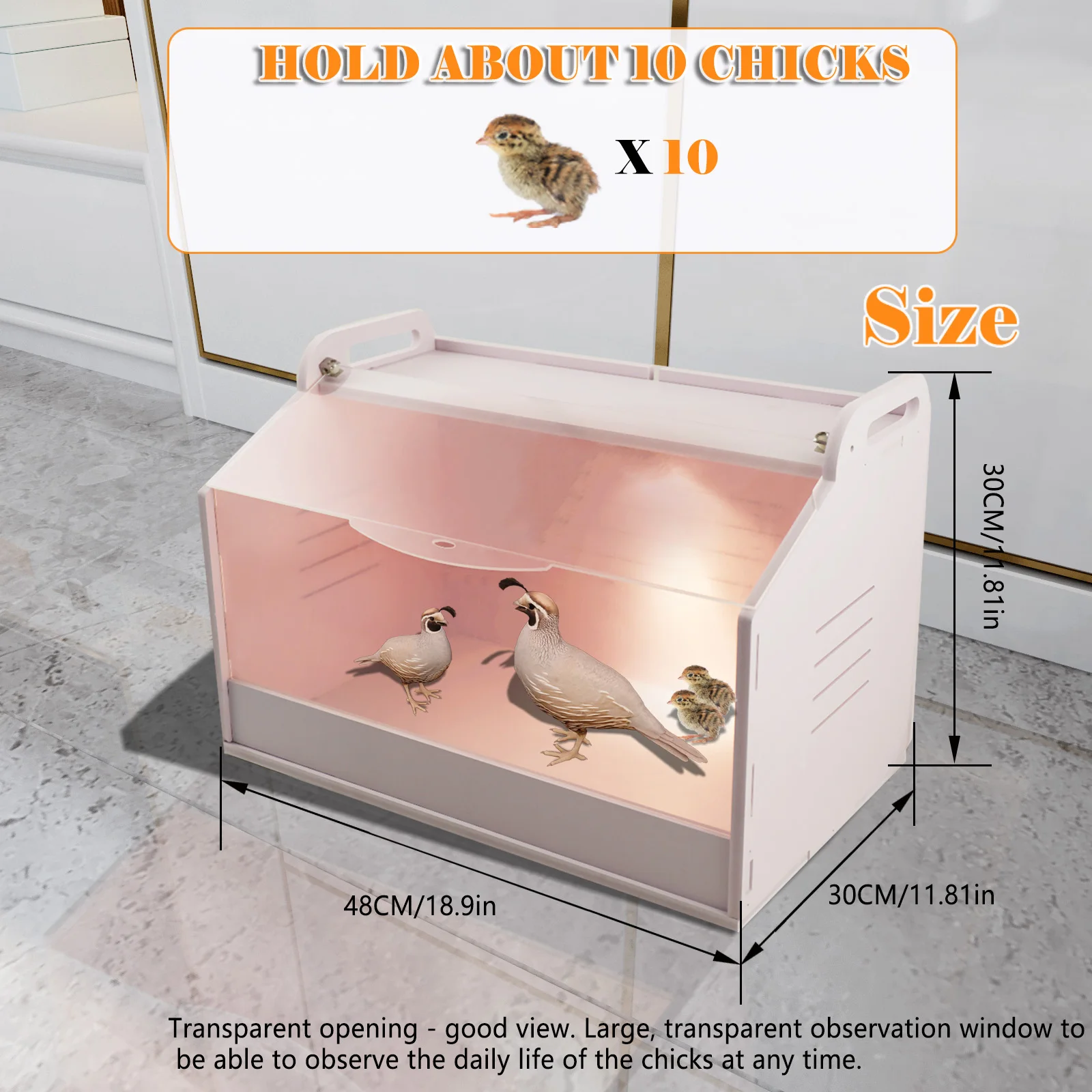 Couveuse pour poussins avec panneau acrylique transparent, boîte de couvaison avec une transmission de lumière de plus de 93%, lampe chauffante à intensité variable en continu, ventilation sur 3 côtés et fenêtre d'observation, 8 x 30 x 30 cm, 220V, tôle industrielle de haute qualité, gris.