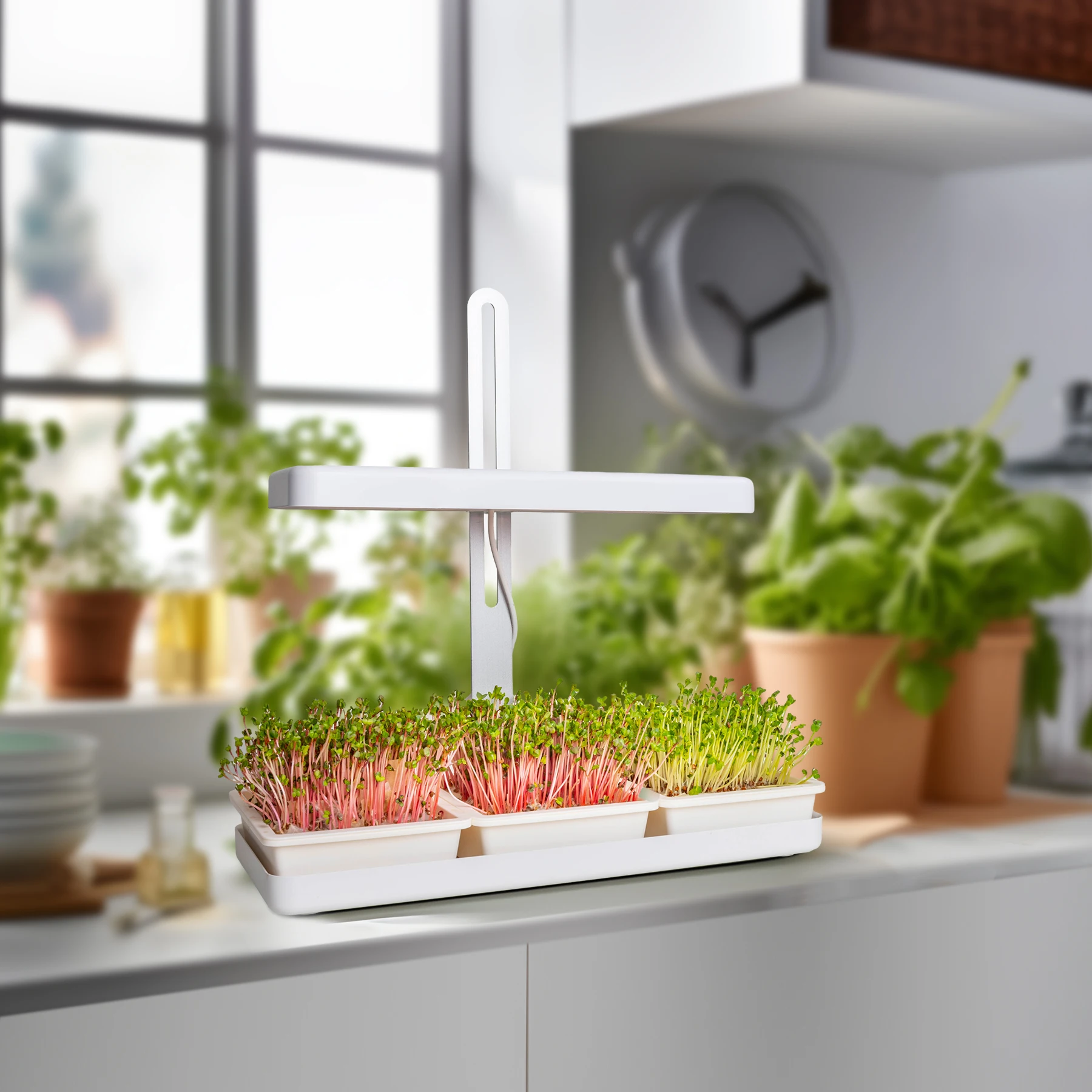 プランターLED屋内マイクログリーン栽培キット、オーガニックで健康的な栽培、自分で簡単に楽しく栽培、素晴らしいギフト、マイクログリーン水耕栽培