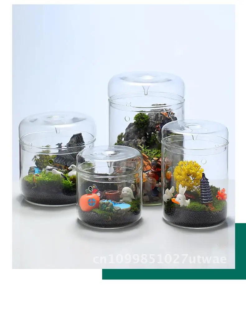 

High Borosilicate Glass Micro Bonsai Dew Set Cup Eco-Friendly Plant Office Landscape Miniature Garden Greenery Container