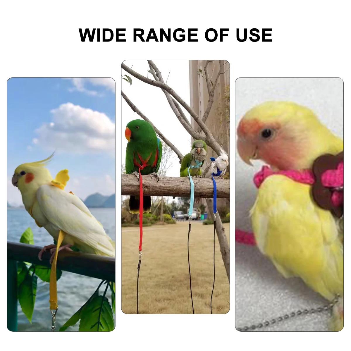 

1pc Pet Pulling Rope Durable Hamster Turtle Lizard Leash 8-Shaped Anti-Slip Outdoor Walking Tow Belt for Pets Polyester Pet