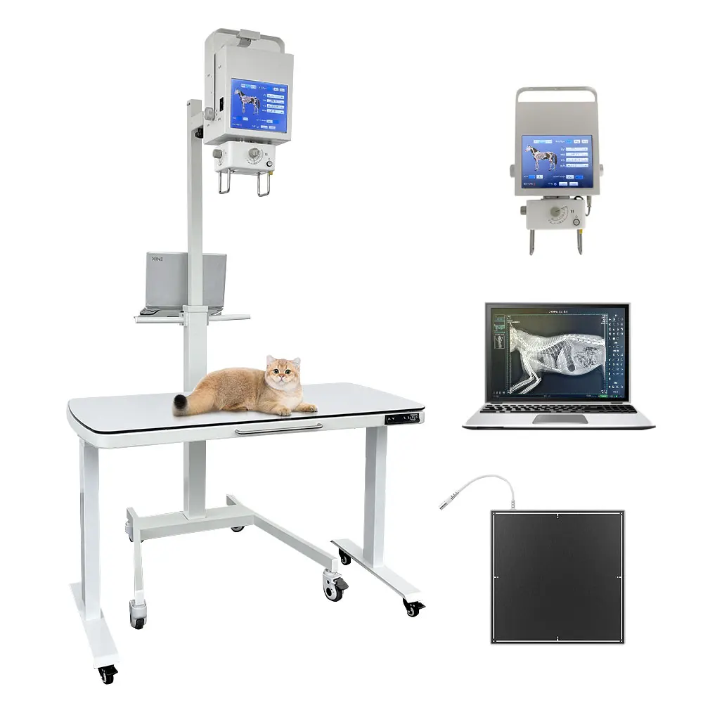 High Resolution Veterinary Digital Radiography System