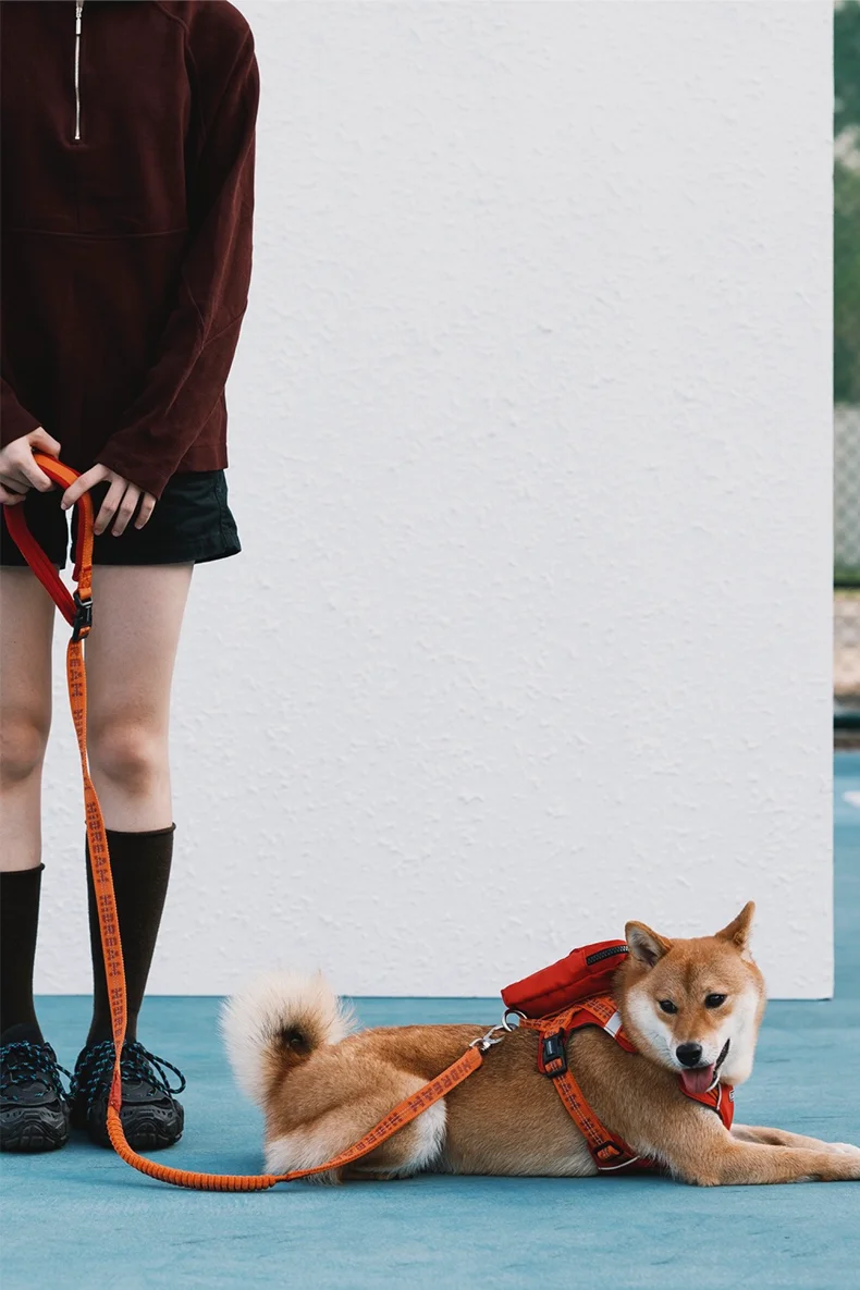 Dog Soft Handle Adjustable Nylon Polyester Lead Leash Large Dog Walking Hands Free Explosion-proof Impact Buffering Leash