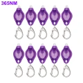 365nm 10pc