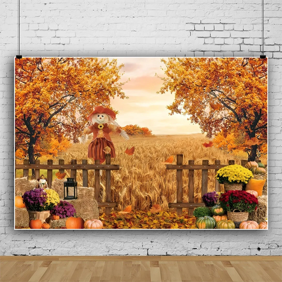 الخريف هالوين اليقطين مزرعة القش مشاهد التصوير خلفية الحصاد سيارة استحمام الطفل صورة التصوير خلفية التصوير الفوتوغرافي