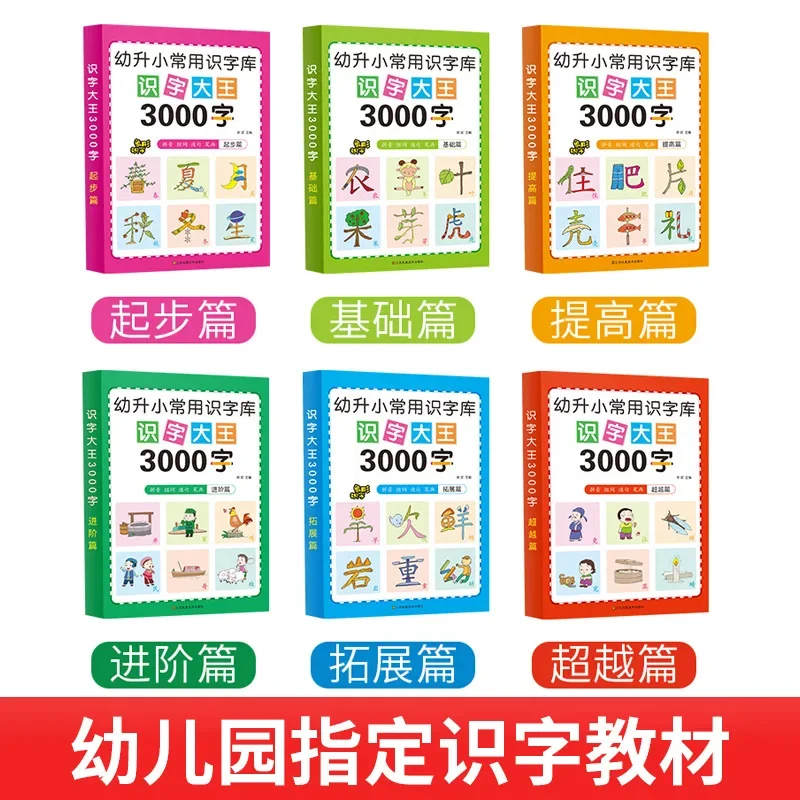 Literacy King 3000 Words Common Literacy Library for Preschool and Primary Schools Preschool Reading and Literacy Book