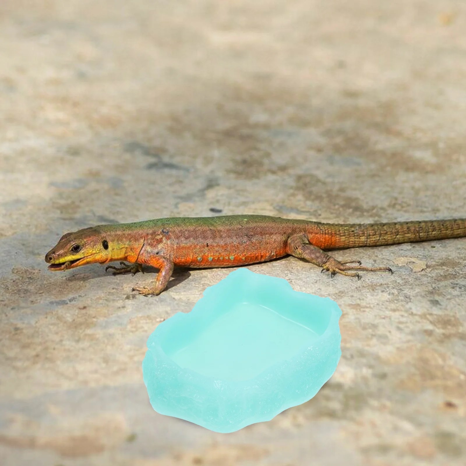 

Luminous Reptile Bowl Resin Night Glow Feeding Dish For Cage Tank Water Food Container Durable Reusable Pet Accessory