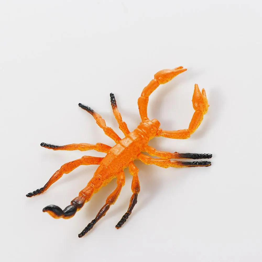モデルおもちゃクモフィギュア PVC 偽昆虫ゴキブリ現実的な昆虫置物動物昆虫おもちゃ昆虫モデルシミュレーション昆虫