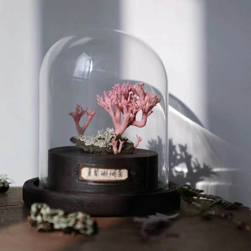 Ornamentos de cogumelo artesanais feitos à mão, brinquedos de mesa, coleção de arte personalizável e decoração, presente para crianças