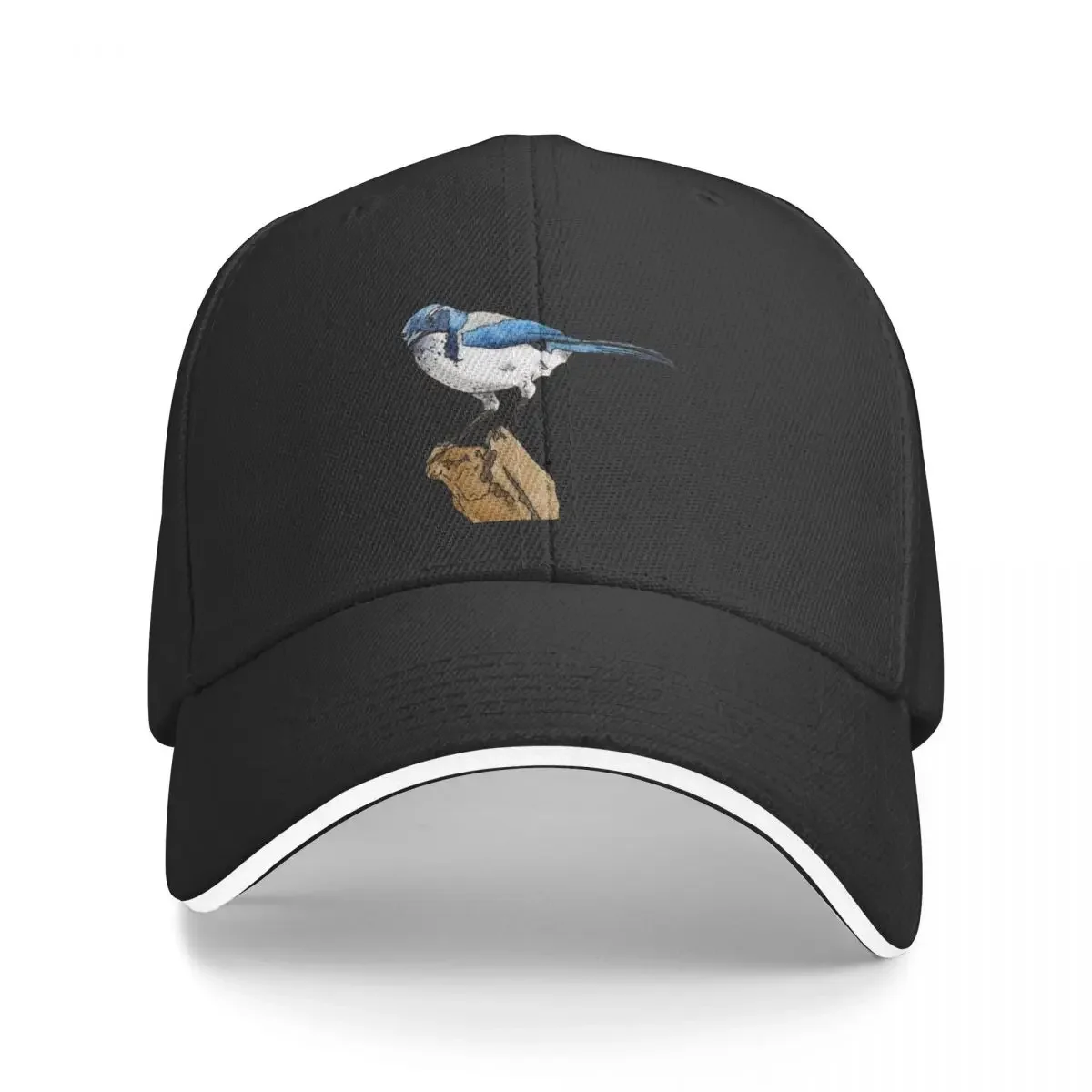 

Бейсболка Scrub Jay, солнцезащитная Кепка, мужские головные уборы для альпинизма, женская