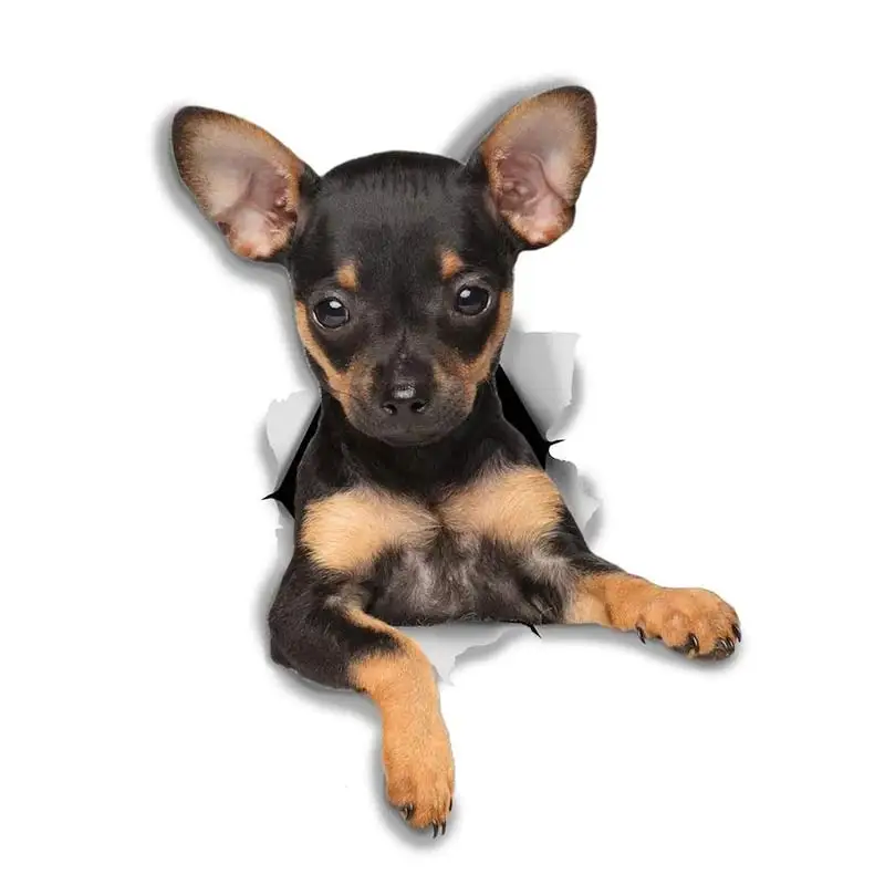 M463 Wurst Hund Rottweiler Hund Yorkshire Terrier Hund PVC Haushalt Dekoration Wand Aufkleber Toilette Aufkleber – Detail 8