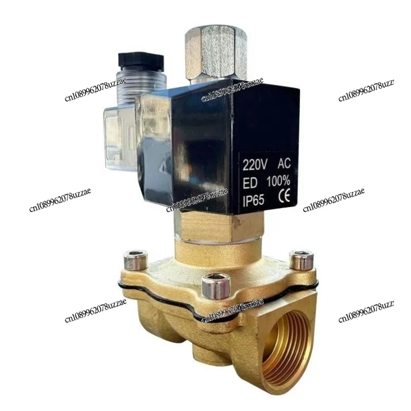 Normally Open Solenoid Valve, Energy-saving, Brass Control Switch, Vapor External Waterproof, Energized, and Closed