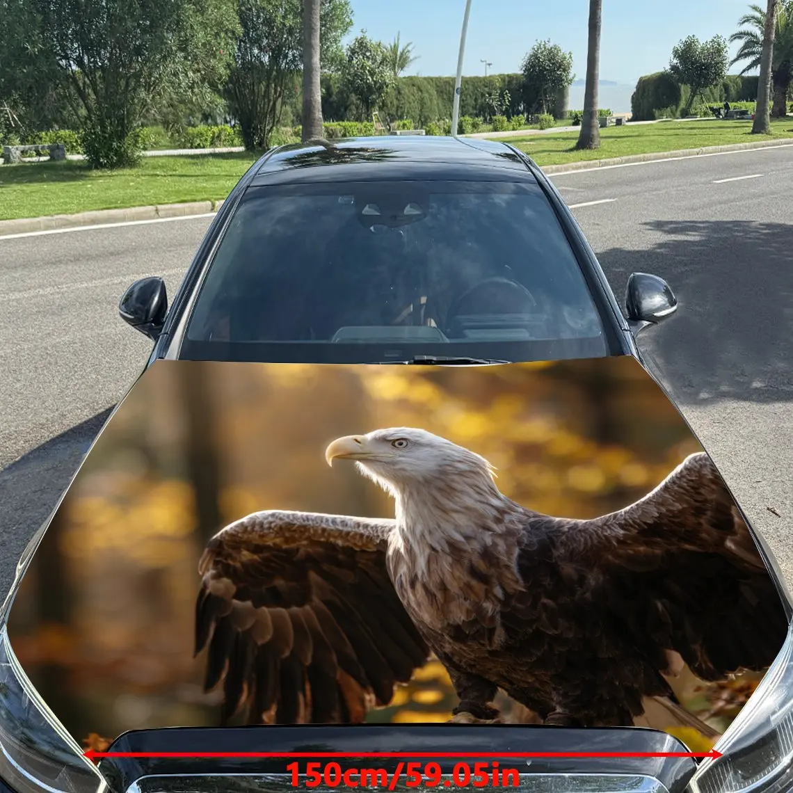 Car Decals Eagle with a Dazzling, Autumn - Hued and Sky - Soaring Background Car Hood Sticker, Waterproof Self - Adhesive Vinyl