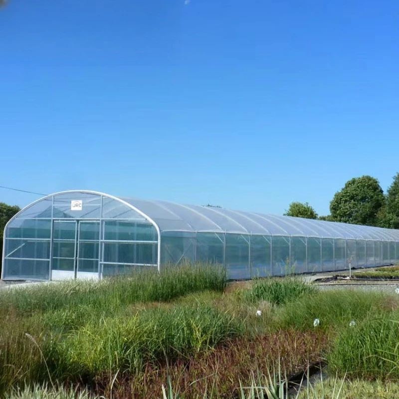 نفق الدفيئة الزراعية الدفيئات الزراعية