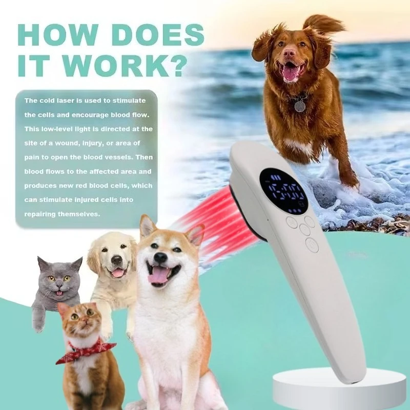 

Veterinary-Grade Laser Therapy Pen 650nm/808nm - At-Home Pet Care Tool