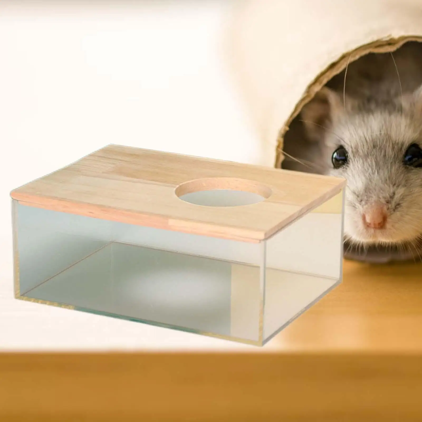 Hamster areia banho banheiro cama caixas de areia para animais pequenos ouriço esquilos