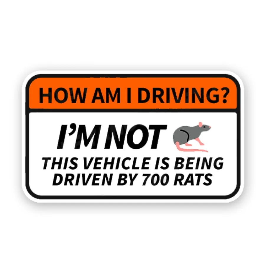 2Pack 5x3in Funny Bumper Sticker Decal How Am I Driving This Vehicle Is Driven By 700 Rats