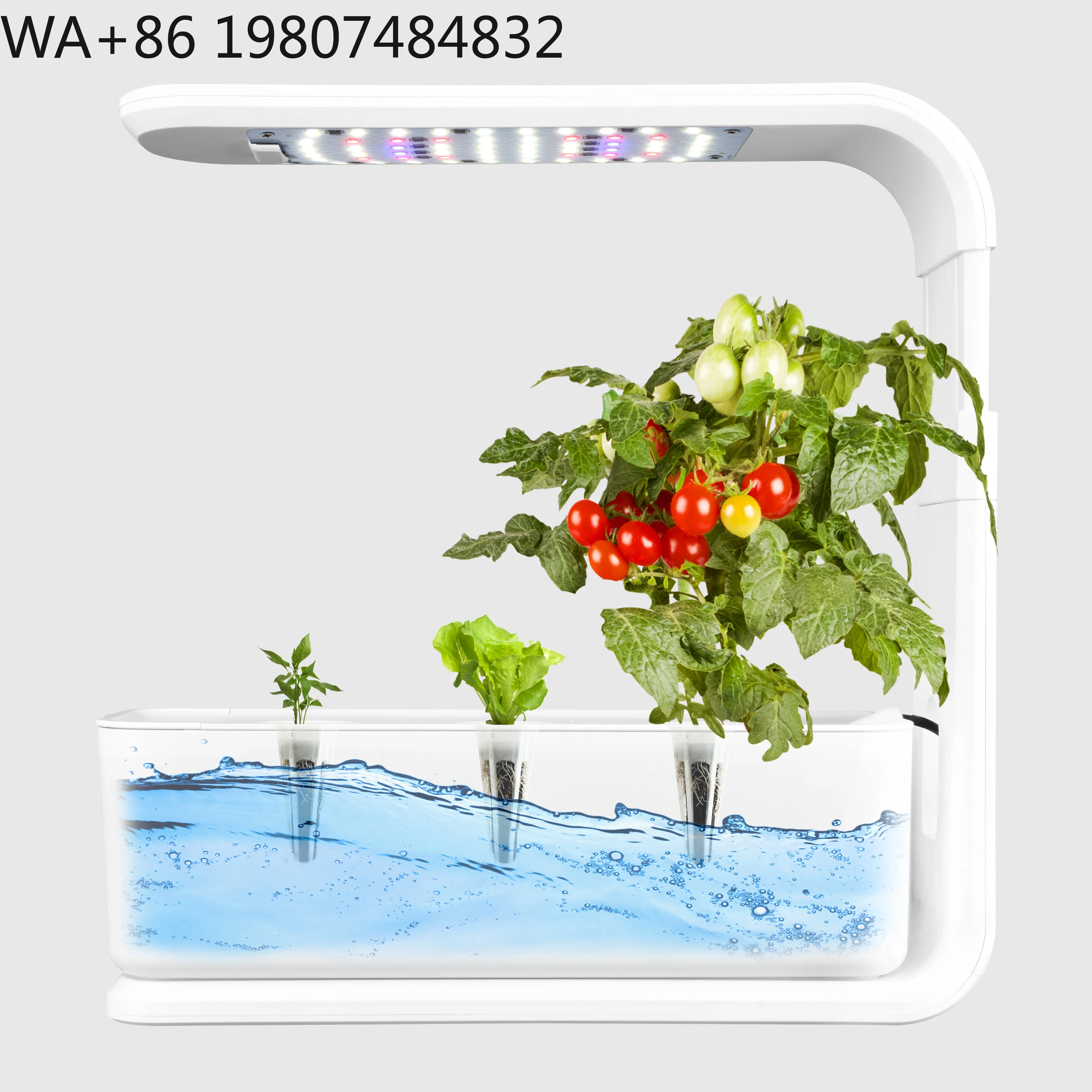 Minimalistischer Kräuter-Anzuc – Led Grow Light Bewertung und Preis