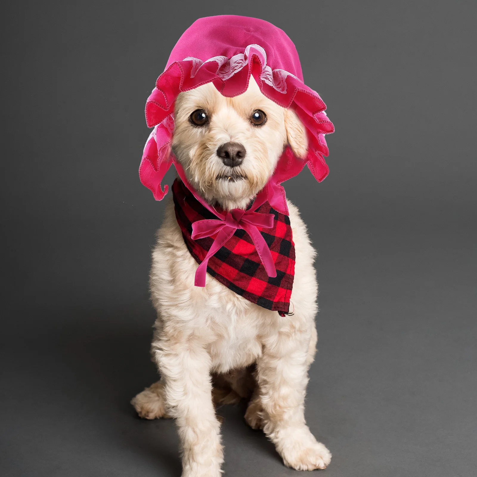 

Adjustable Pink Safe Resistance Practical Lasting Time Use Perfect for Photos Parties Cat Dog Summer for Photos
