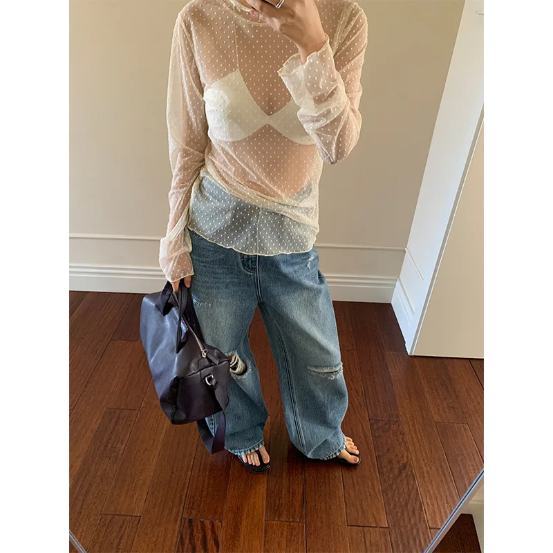 

Polka Dot Pure Lust Style Mesh Hollow Bottoming Shirt for Women 2026 Spring New Lace Collar Top