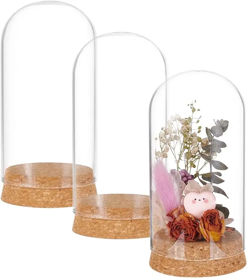 3 Set Dome Display Glass Jar with Cork, 65x133mm Bell Cloche Glass Decoration Case for Flower Plants, Specimens, Crafts