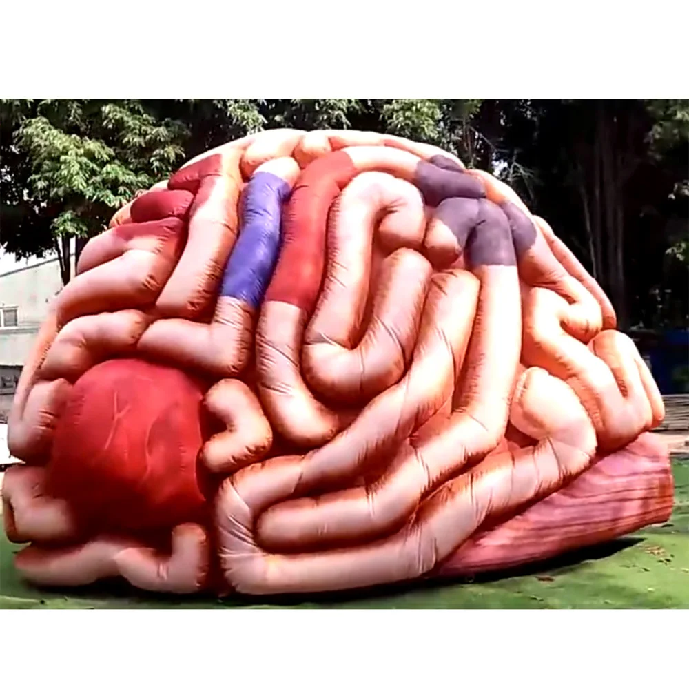 wholesale Lifelike 4m giant inflatable brain model colorful promotional fearful cerebrum tunnel tent for medical display