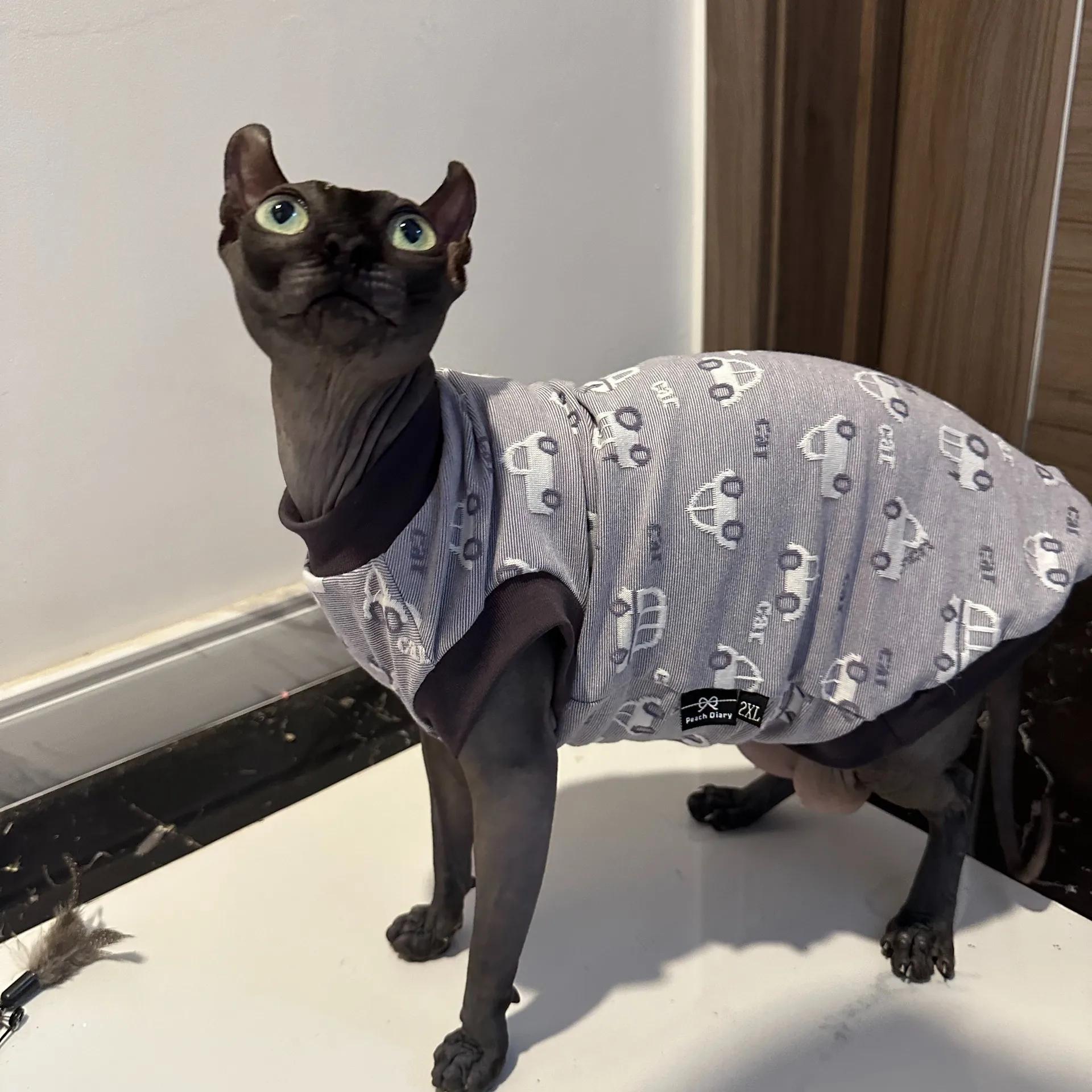 Cartoon Cars T-shirt for Sphynx Cat Short Sleeves Summer Cotton Coat for Devon Rex Soft Grey Jumpsuit for Hairless Cat in Spring