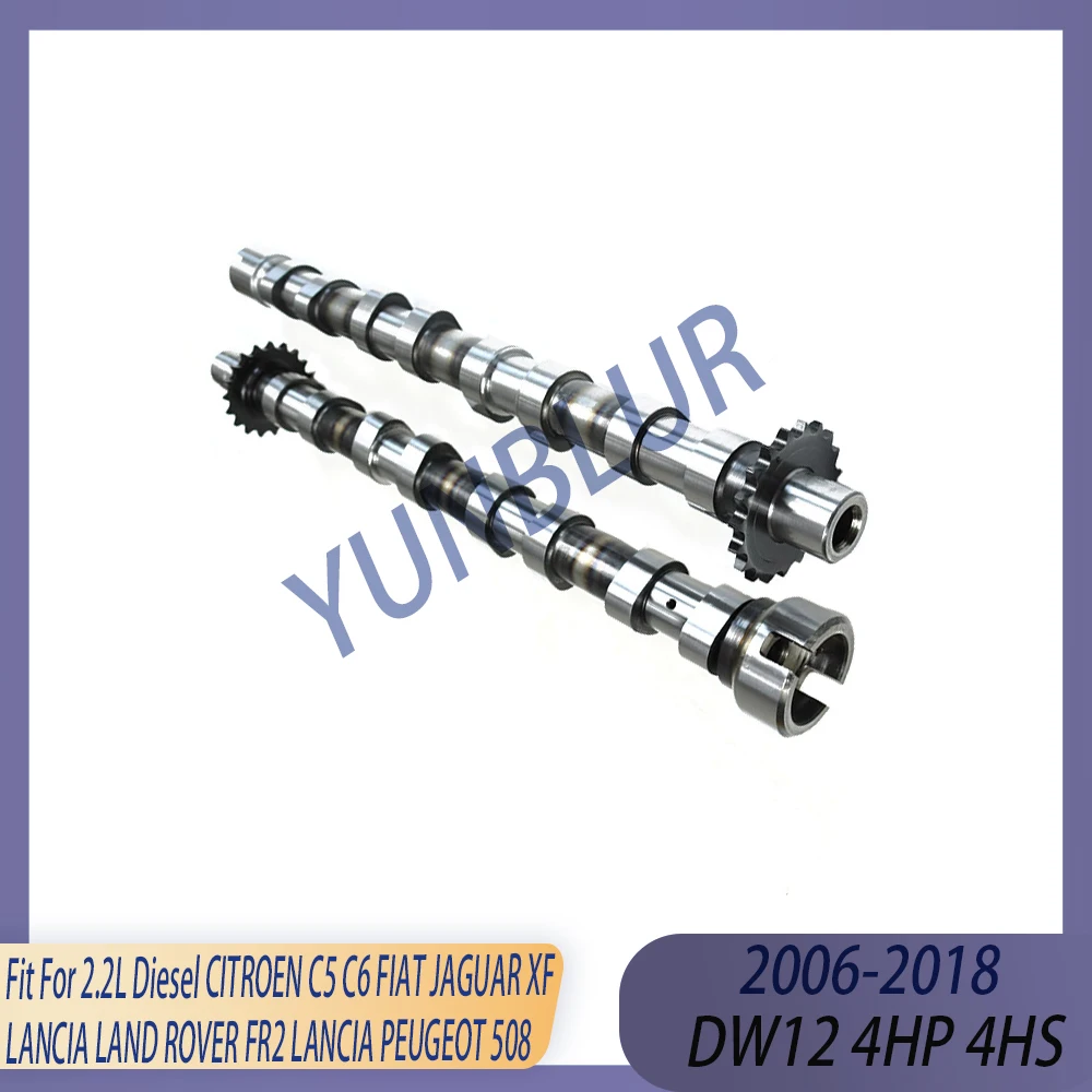 Kit de 2 piezas de árbol de levas de admisión y escape para motores diésel 2.2 L DW12 224DT 4HP 4HS, compatible con CITROEN C5, FIAT, JAGUAR XF, LAND ROVER FR2, LANCIA, PEUGEOT