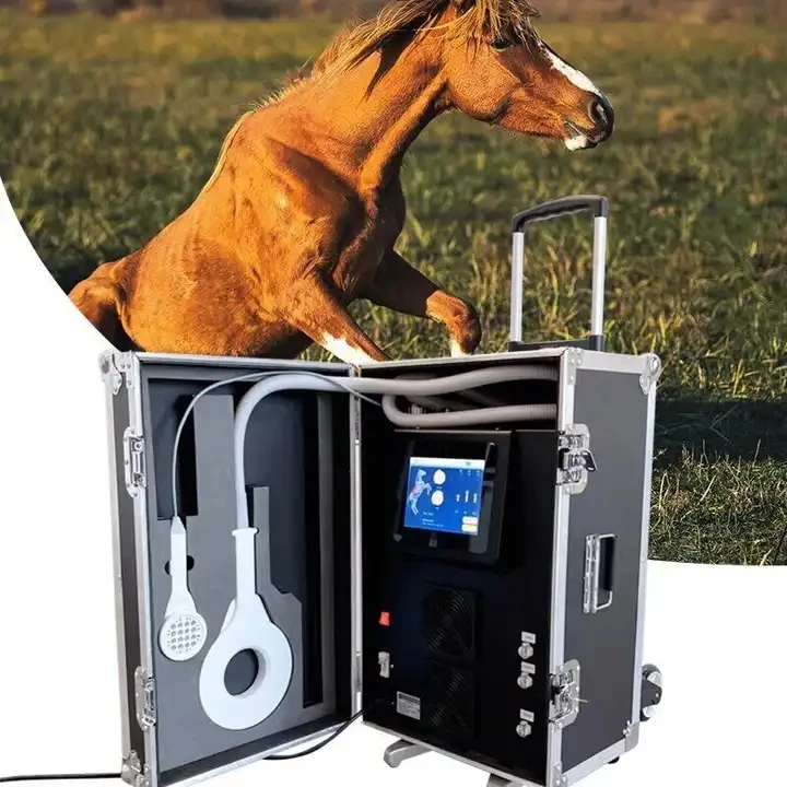 Magneto Therapy Veterinary Physio Machine Physiotherapy Pemf Portable Use Massage Machine For Muscle Relaxation Massage Fo