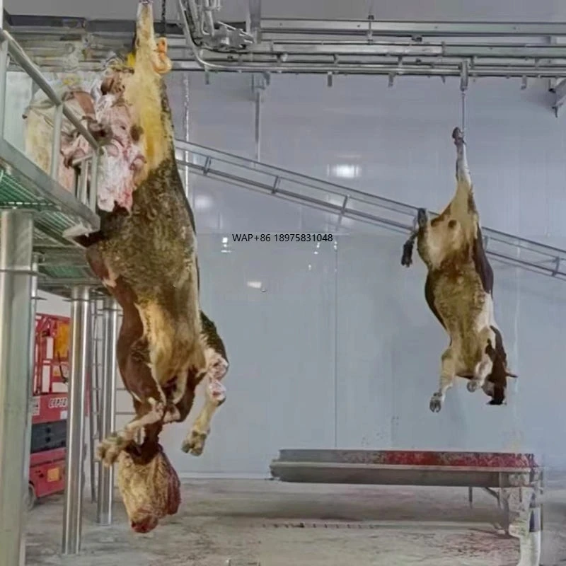 Equipo de Sacrificio de Ganado Halal de 50-300 Unidades con Motor, Línea de Sacrificio de Res de Alta Productividad 220V/380V