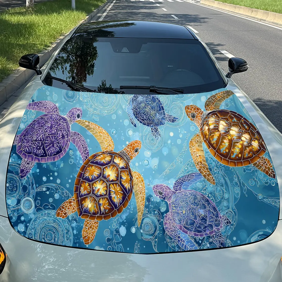 Colorful Turtle Aut…