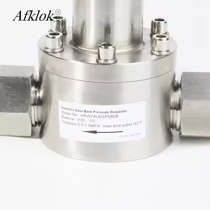 RW74 Stainless Steel Back Pressure Valve for Hydrogen