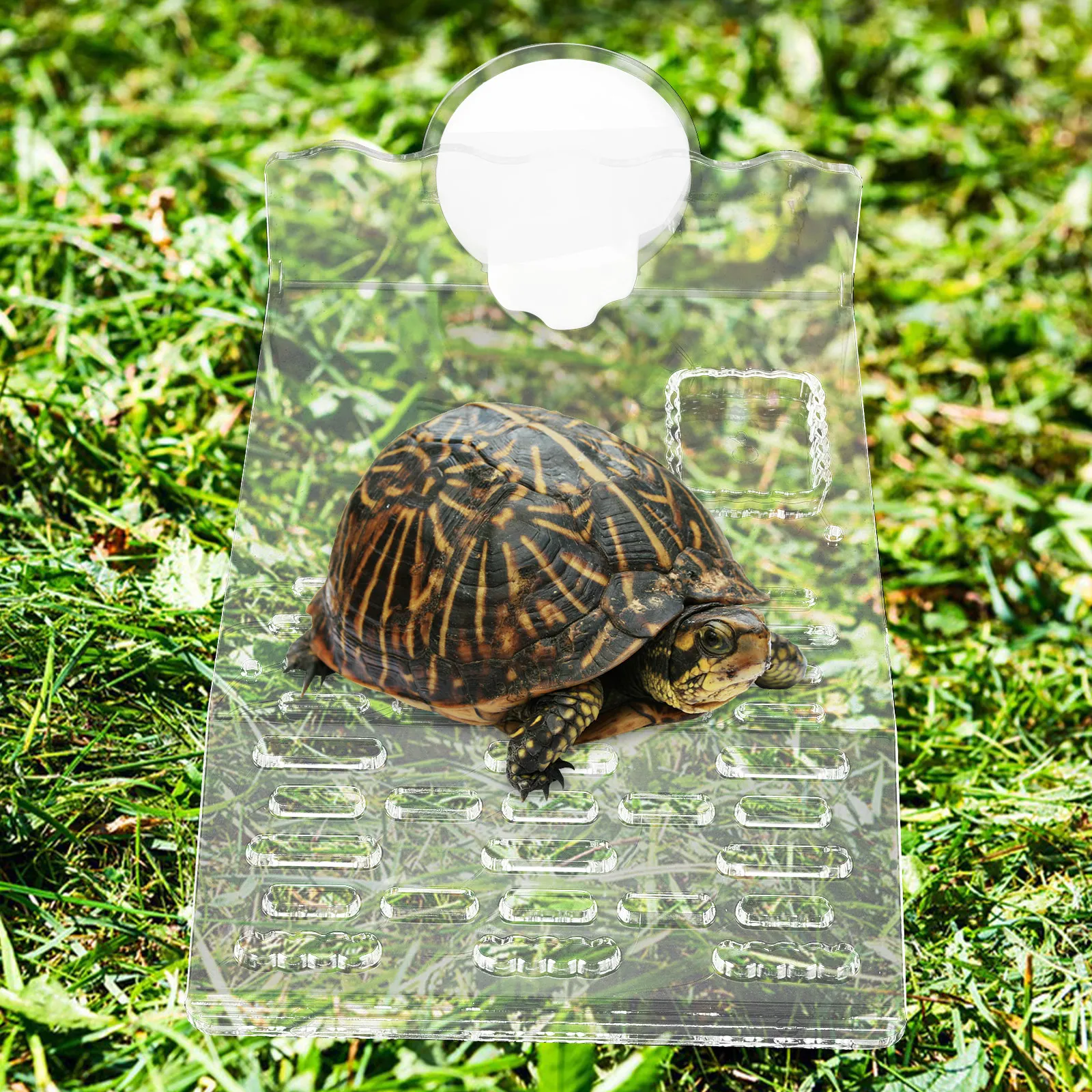 

Turtle Basking Platform Medium Transparent Floating Terrace Suction Cup Fixation Aquatic Pet Accessories TORTOISE Habitat Leaf