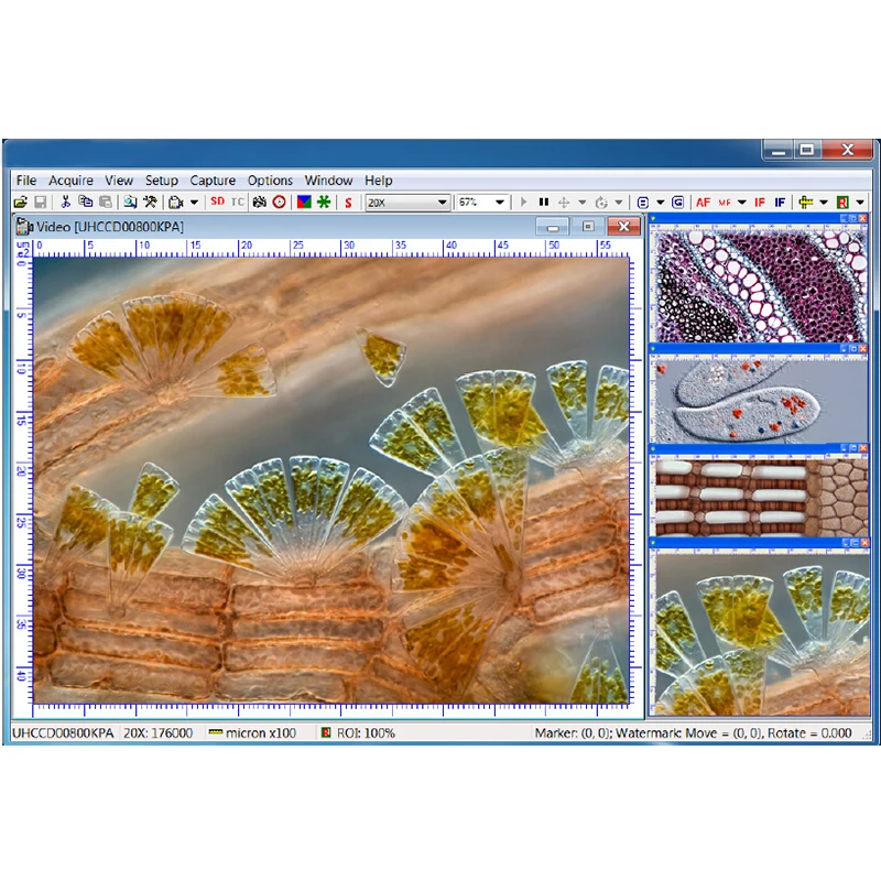 OPTO-EDU A59.2208-U Buffer Memory USB2.0 CMOS Digital Camera For Microscope
