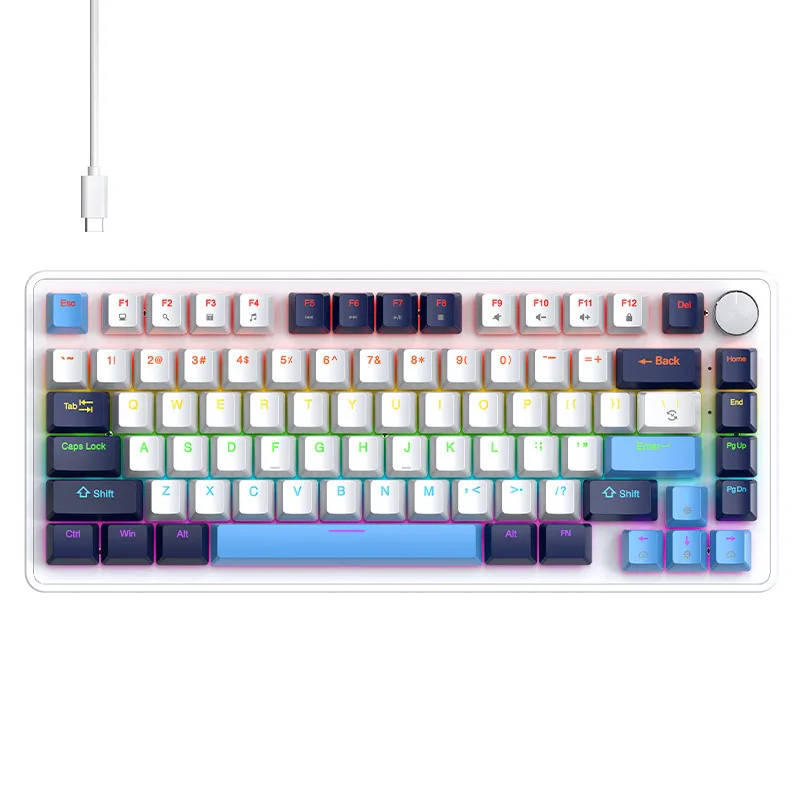 K82 Wired Mechanical Keyboard RGB Backlight Multi-functional Knob 82 Keys Layout Full Key Hot Swappable Keyboard for Windows Mac