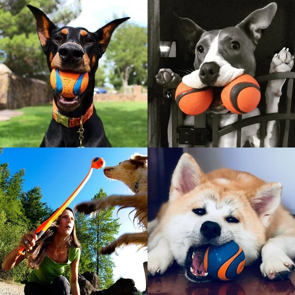 Thumbnail 4 - #38 Best Puppy Chew Toys to Buy In 2026